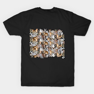 Cats meeting point T-Shirt